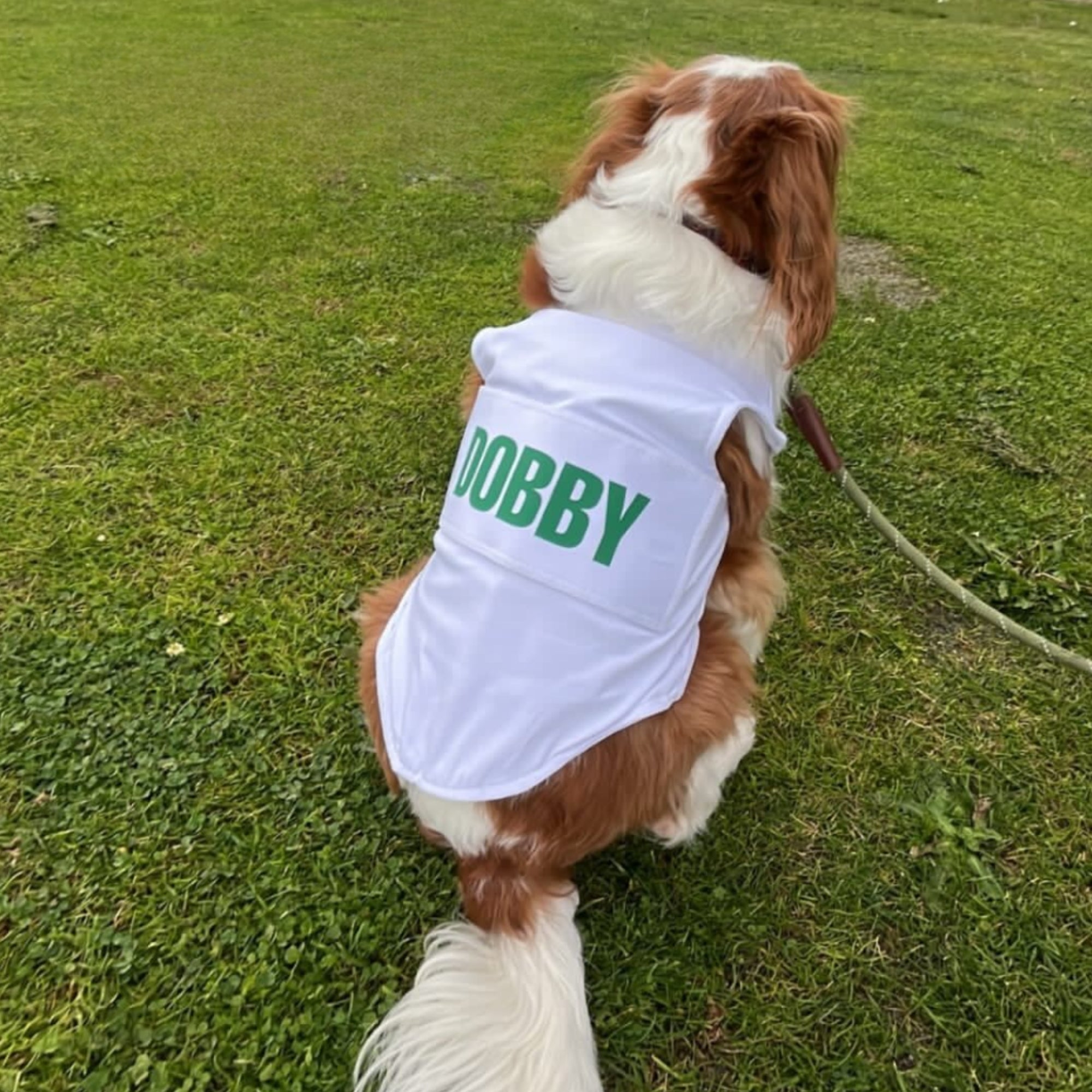 Dog Caddie Bib with Custom Name