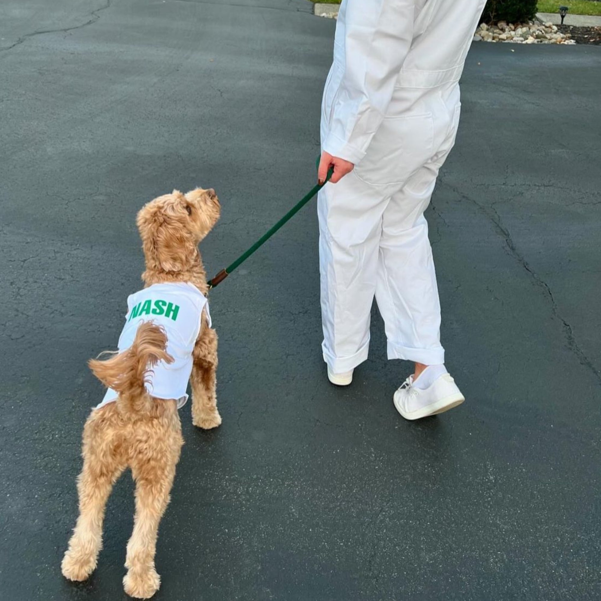 Dog Caddie Bib with Custom Name