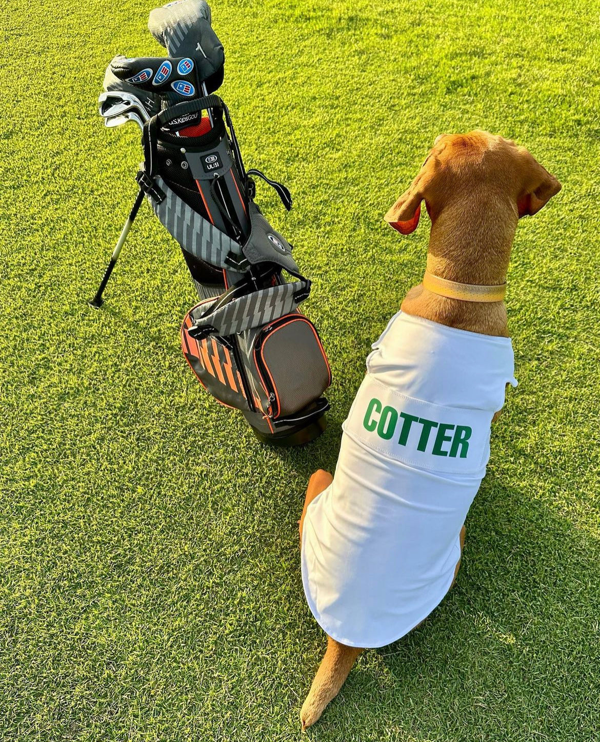 Dog Caddie Bib with Custom Name