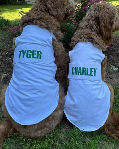 Dog Caddie Bib with Custom Name