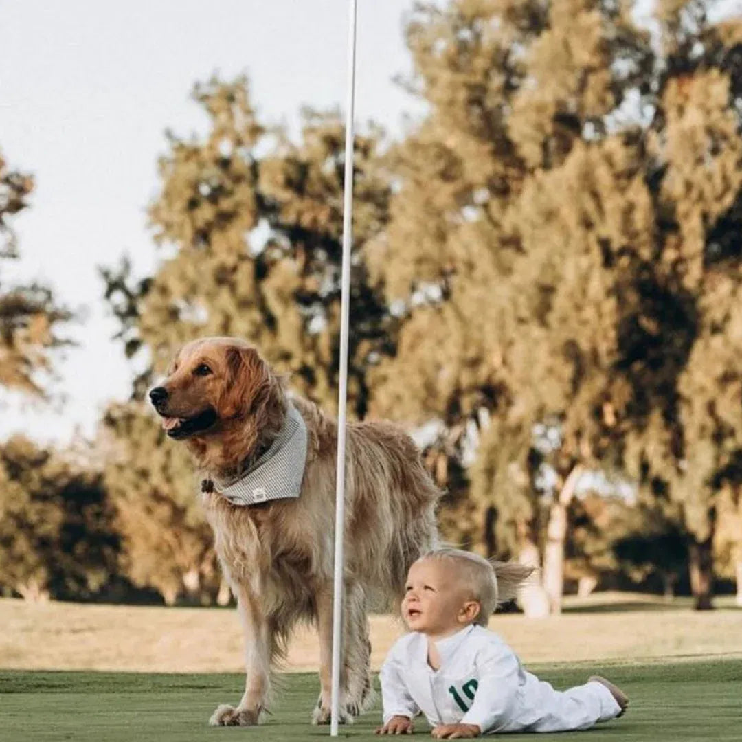 First birthdays Picture