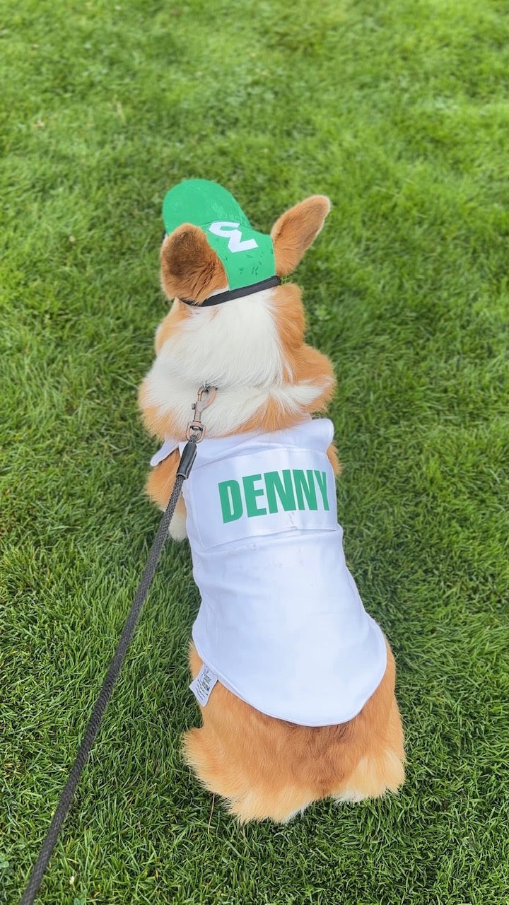 Dog Caddie Bib with Custom Name
