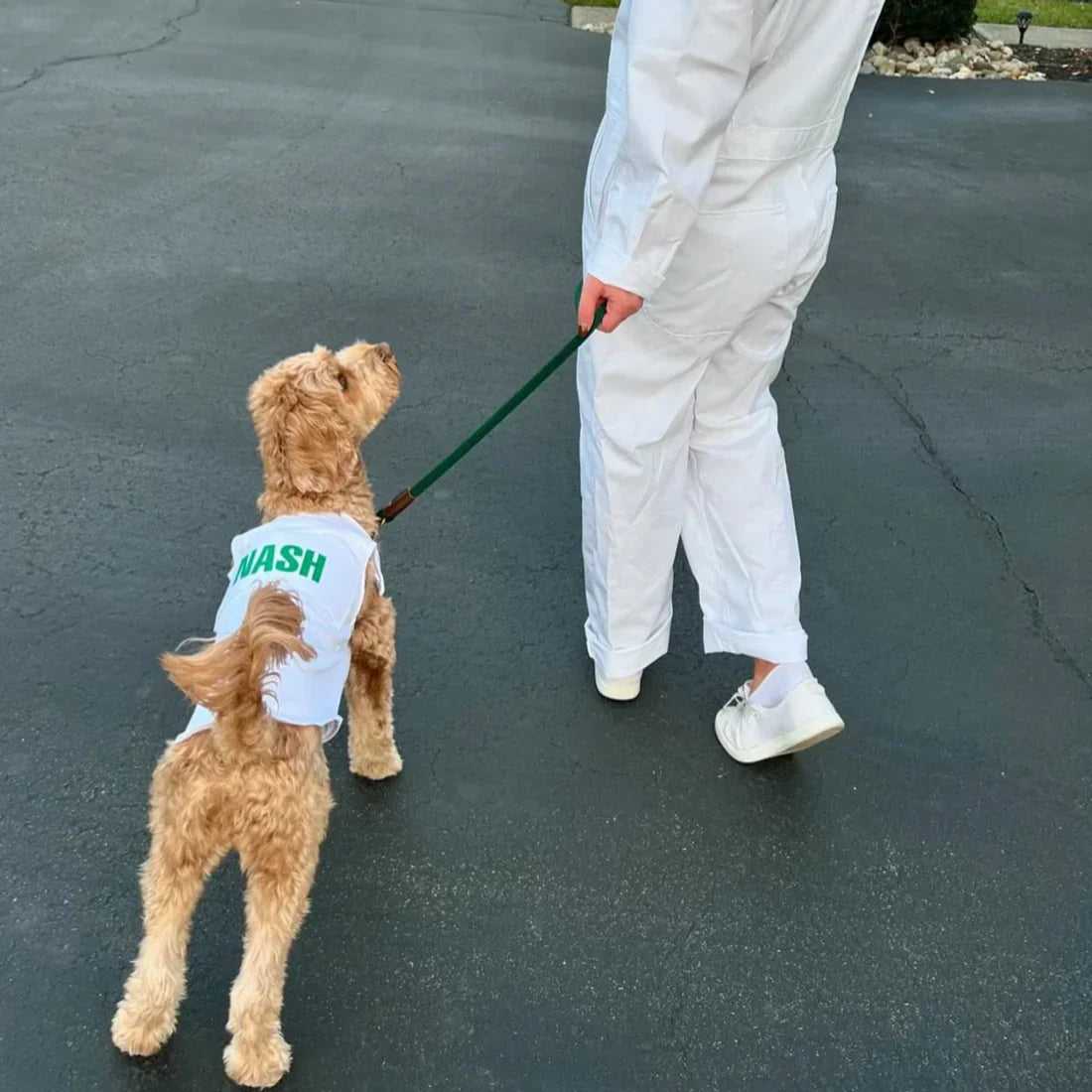 The Ultimate Dog Golf Costume Guide: What Your Pup Needs to Tee Off in Style
